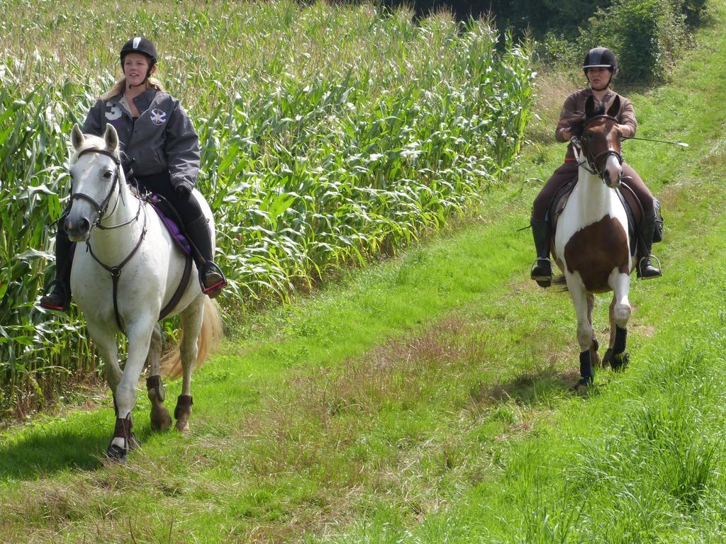Gite Et Relais Equestre De Marie Tours-en-Vimeu Kültér fotó