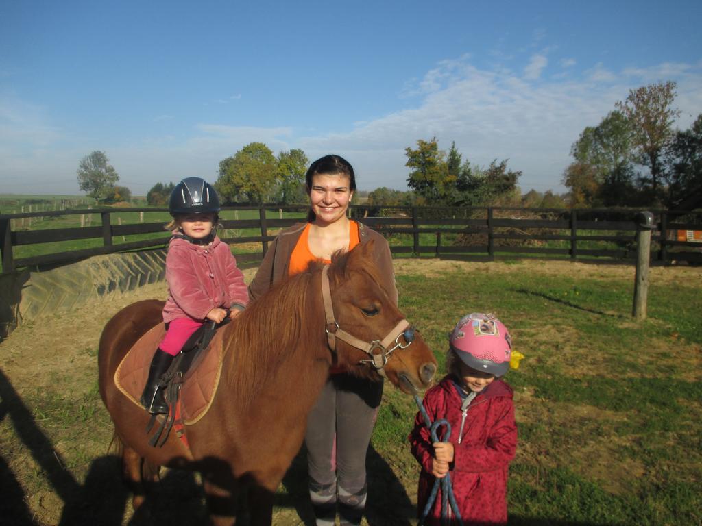 Gite Et Relais Equestre De Marie Tours-en-Vimeu Kültér fotó