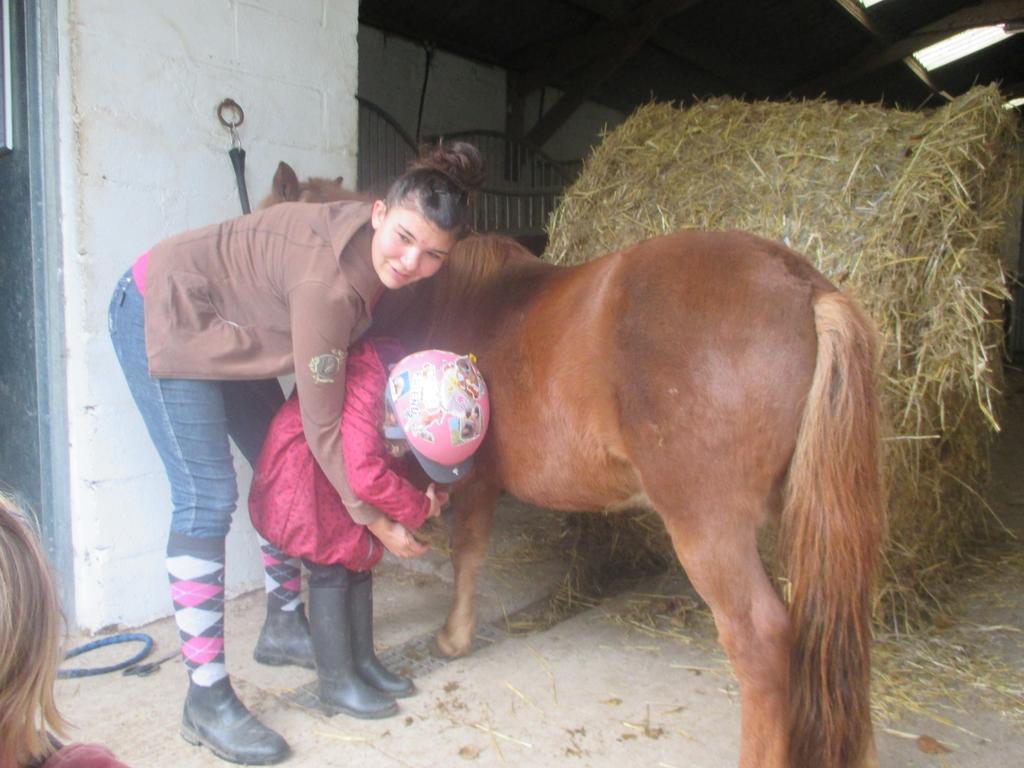 Gite Et Relais Equestre De Marie Tours-en-Vimeu Kültér fotó