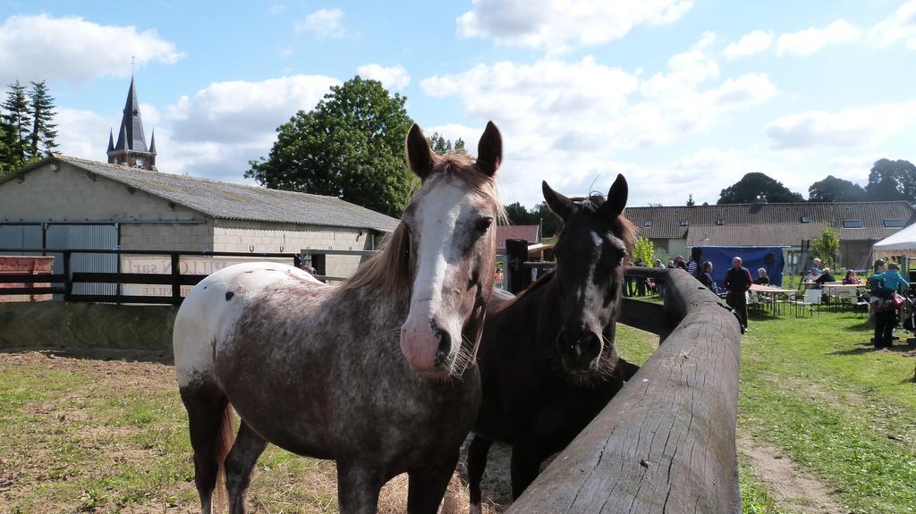 Gite Et Relais Equestre De Marie Tours-en-Vimeu Szoba fotó