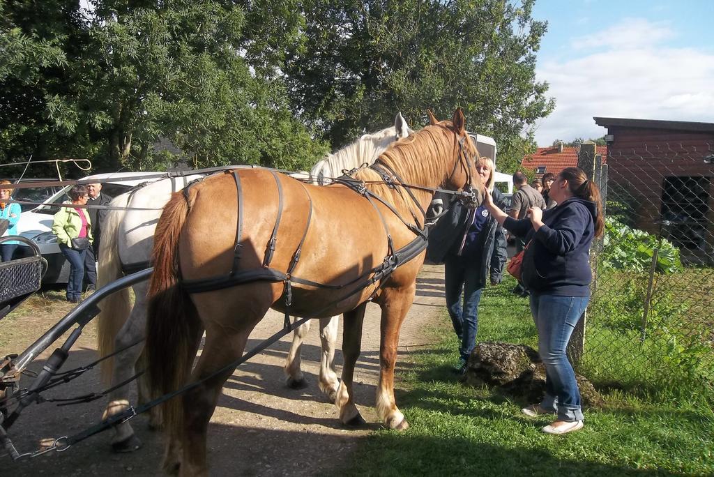 Gite Et Relais Equestre De Marie Tours-en-Vimeu Szoba fotó