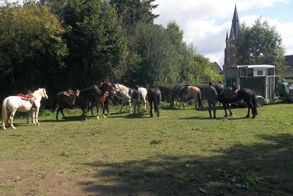 Gite Et Relais Equestre De Marie Tours-en-Vimeu Kültér fotó