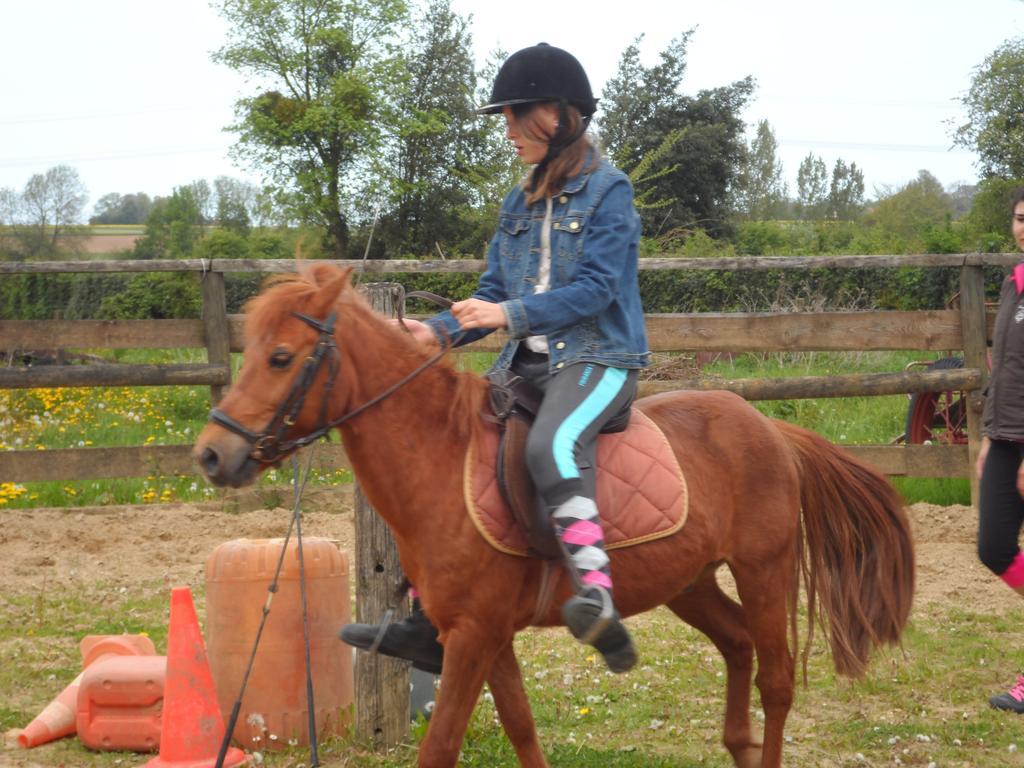 Gite Et Relais Equestre De Marie Tours-en-Vimeu Szoba fotó