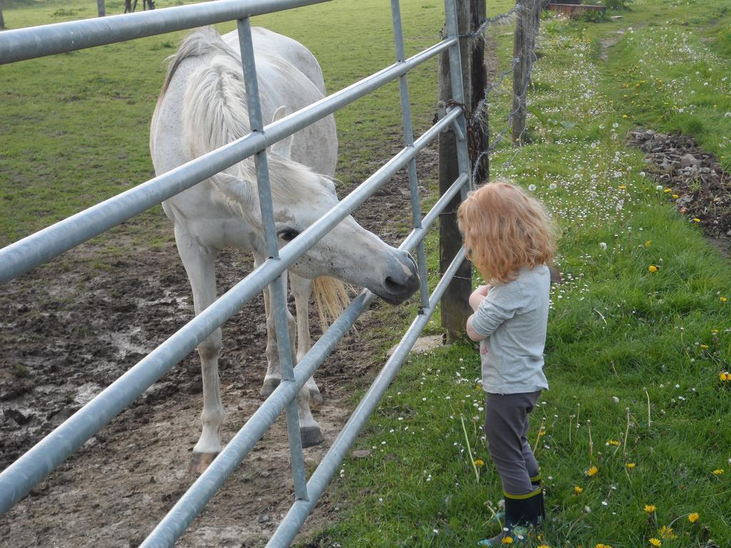 Gite Et Relais Equestre De Marie Tours-en-Vimeu Szoba fotó