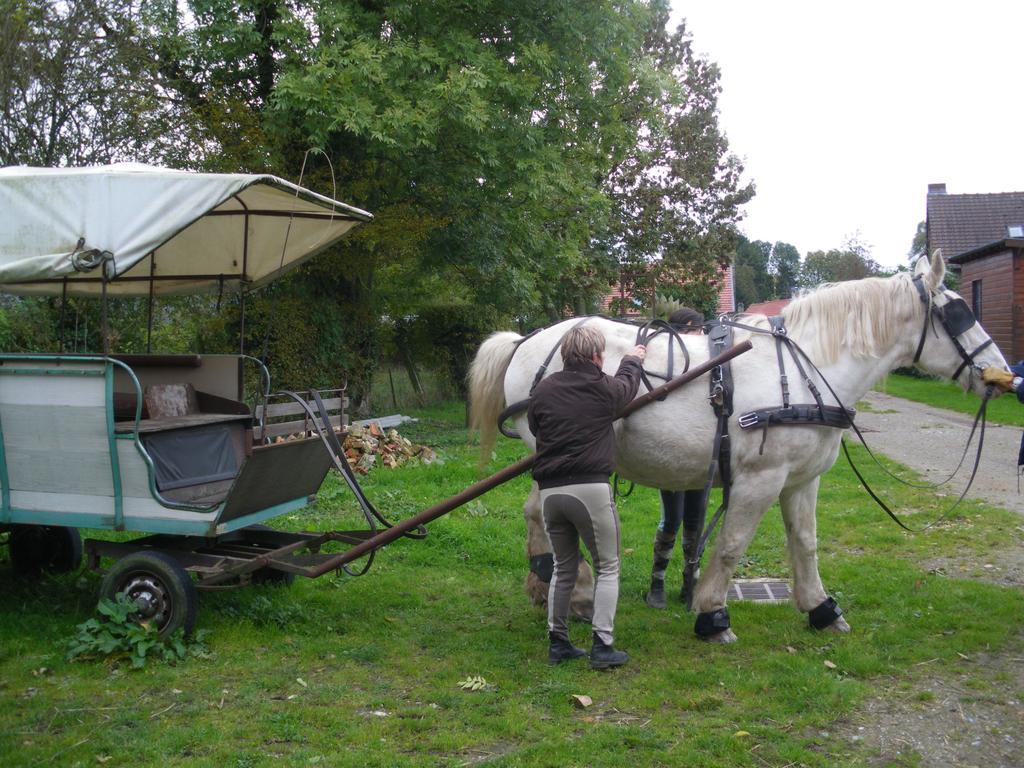 Gite Et Relais Equestre De Marie Tours-en-Vimeu Szoba fotó
