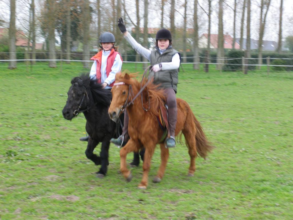 Gite Et Relais Equestre De Marie Tours-en-Vimeu Szoba fotó