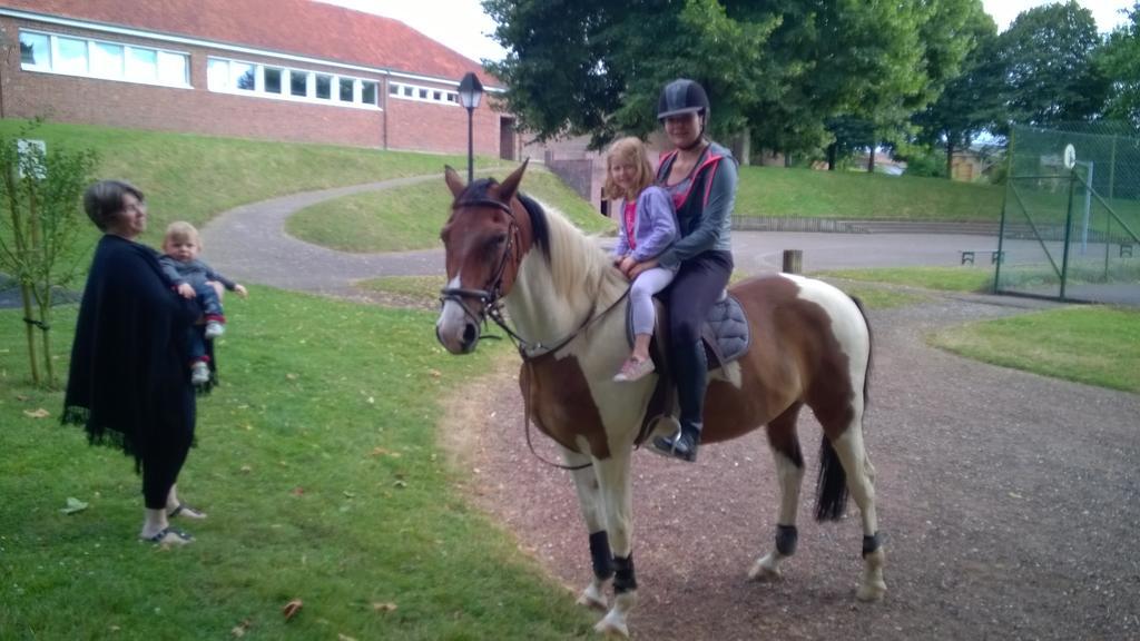Gite Et Relais Equestre De Marie Tours-en-Vimeu Kültér fotó